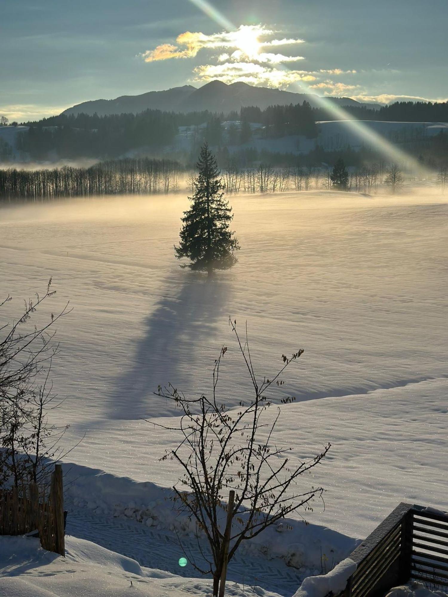 Alpen Wohlfuehlquartier Villa Bayersoien Exteriör bild